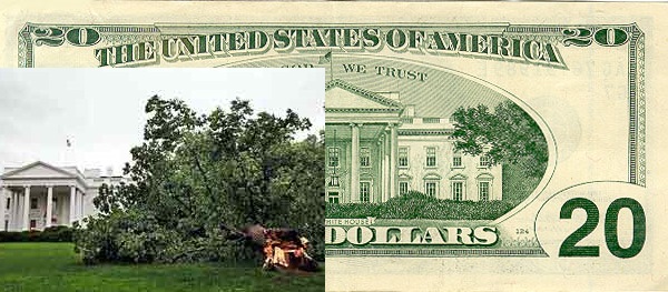Деревья у Белого дома Изображенные на купюрах в 20 долларов вязы, действительно раньше росли возле Белого дома, как и изображено на банковском билете. Но с 2006 года деревьев нет – они не выдержали времени и дождей. На лицевой стороне 20-долларовой купюры изображен президент Эндрю Джексон, сам он бумажные деньги не любил, предпочитая монеты.